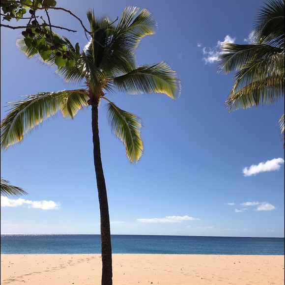 Meet your Posher, Mike - Picture 1 of 1